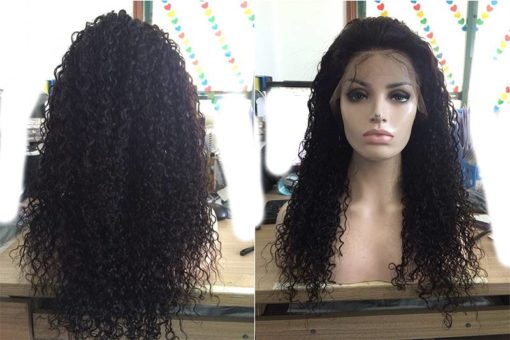 Long Curly Human Hair Wig Hair Extensions & Wigs