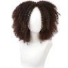 Afro Curly Synthetic Hai Wig Hair Extensions & Wigs 