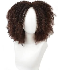 Afro Curly Synthetic Hai Wig Hair Extensions & Wigs