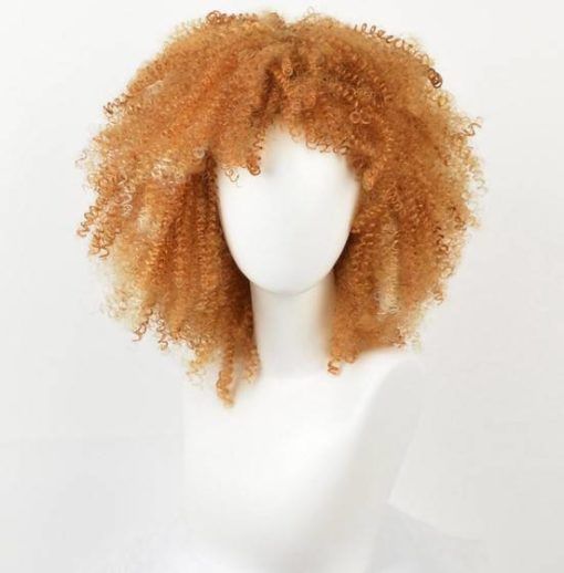 Afro Curly Synthetic Hai Wig Hair Extensions & Wigs