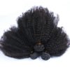 Afro Curly Natural Hair Extensions Hair Extensions & Wigs 