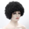 Black Short Kinky Curly Non-Lace Synthetic Hair Wig Hair Extensions & Wigs 