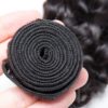 Malaysian Water Wave Human Hair Bundles with Closure Hair Extensions & Wigs