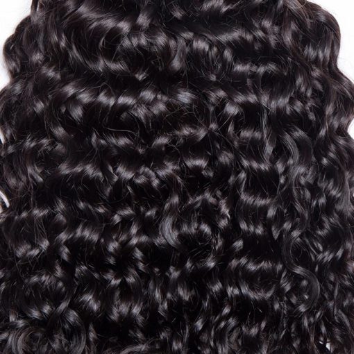 Malaysian Water Wave Human Hair Bundles with Closure Hair Extensions & Wigs