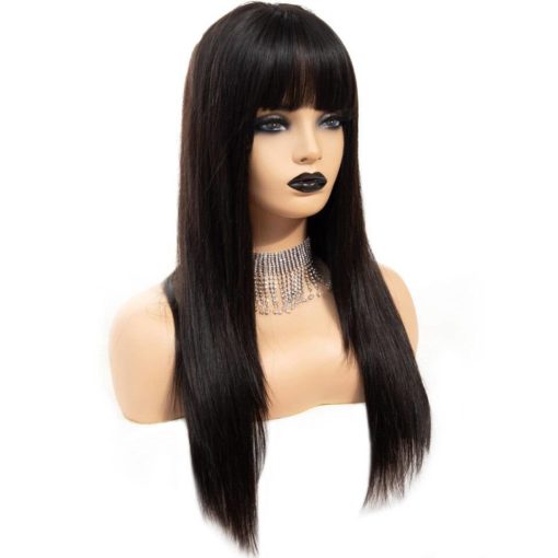 Black Long Straight Bangs Virgin Human Hair Wig Hair Extensions & Wigs