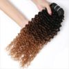 Ombre Curly Human Hair Extensions Hair Extensions & Wigs