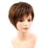 Highlights Short Straight Non-Lace Synthetic Hair Wig Hair Extensions & Wigs 