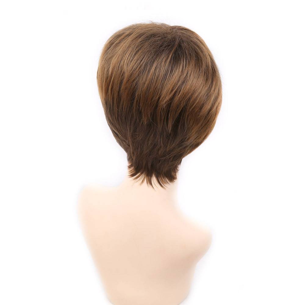 Highlights Short Straight Non-Lace Synthetic Hair Wig