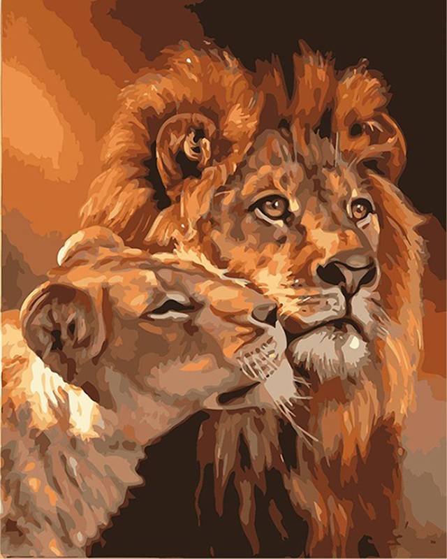 Lion and Lioness Painting by Numbers Picture