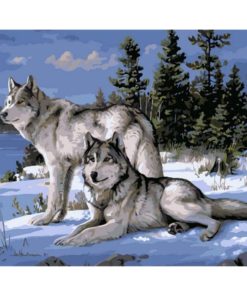 Wolf Canvas Unframed Painting By Numbers Art & Home Decor Housewares