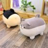 Shiba Dog Plush Toy Budget Friendly Gifts 