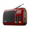 Portable Mini FM LED Display Radio Speakers Cool Tech Gifts