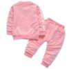 Kid’s Cotton Jacket with Pants Tracksuit Clothing Sets Children's Boy Clothing