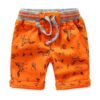 Boys’ Loose Printed Cotton Shorts with Elastic Waist Shorts Children's Boy Clothing 