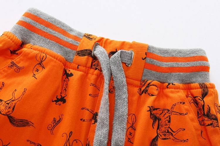 Boys' Loose Printed Cotton Shorts with Elastic Waist