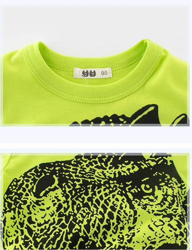 Dinosaur Printed T-shirt for Boys