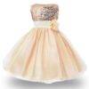 Girl’s Party Ball Gown Sleeveless Dresses Dresses Children's Girl Clothing 