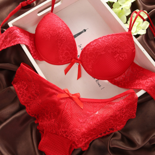 Women’s Lace Push Up Bra and Panties Set Women's Accessories Accessories